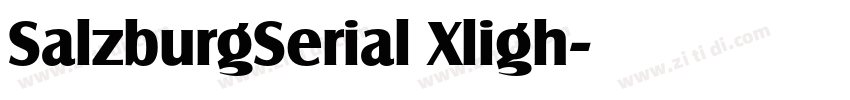 SalzburgSerial Xligh字体转换 SalzburgSerial Xligh字体转换